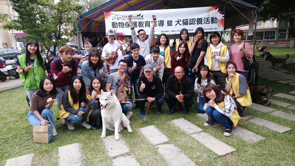 龍山里米克斯送養會活動照片